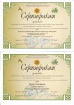 сертификат и благодарности педагогам за этнолаланты